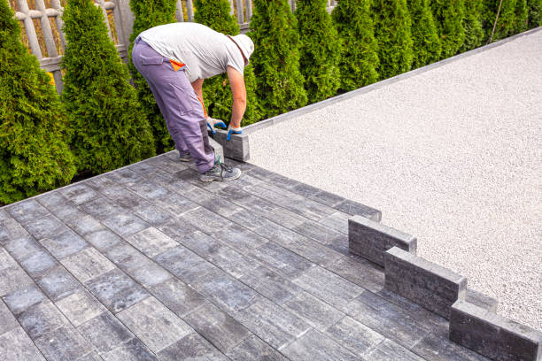 Best Driveway Paving Near Me  in Combes, TX